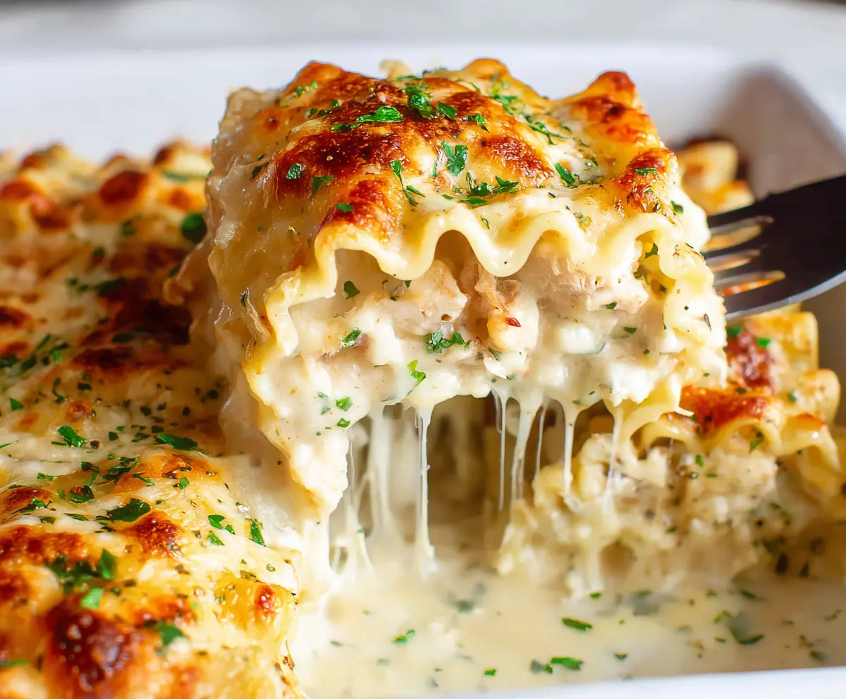 Delicious Chicken Alfredo Lasagna Rolls with creamy sauce and melted cheese.