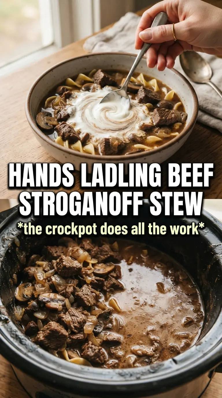 Slow Cooker Beef Stroganoff Stew creamy mushroom tender beef